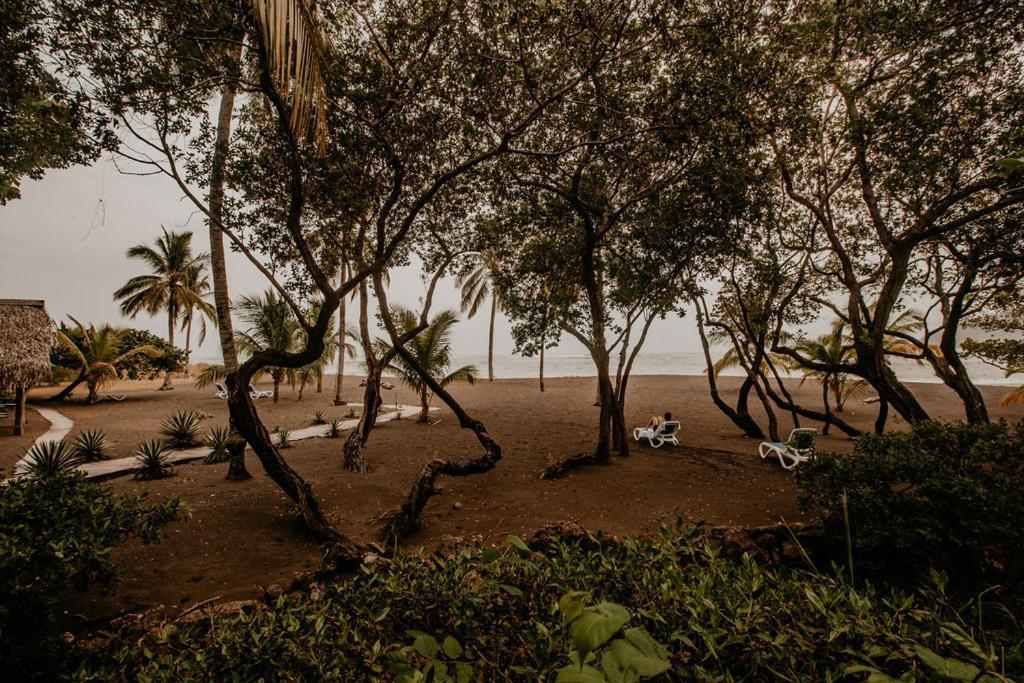 Sansara Surf Yoga & Resort 坎布塔尔 外观 照片